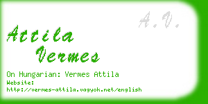 attila vermes business card